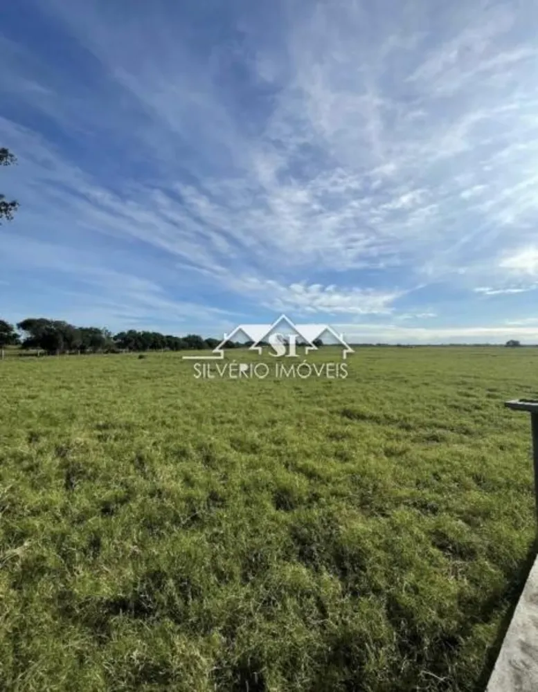 Fazenda, 210 hectares - Foto 10