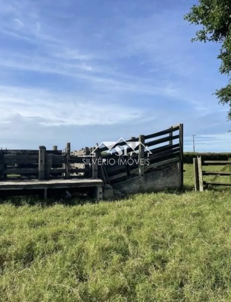 Fazenda, 210 hectares - Foto 13