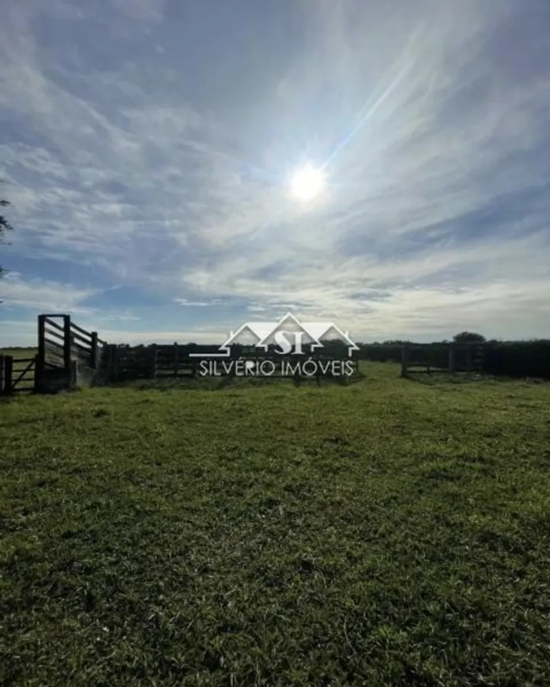 Fazenda, 210 hectares - Foto 11