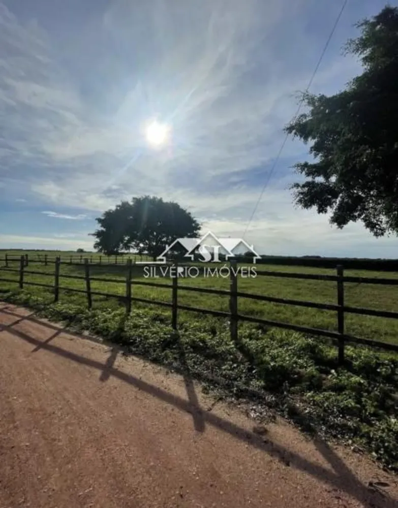 Fazenda, 210 hectares - Foto 1