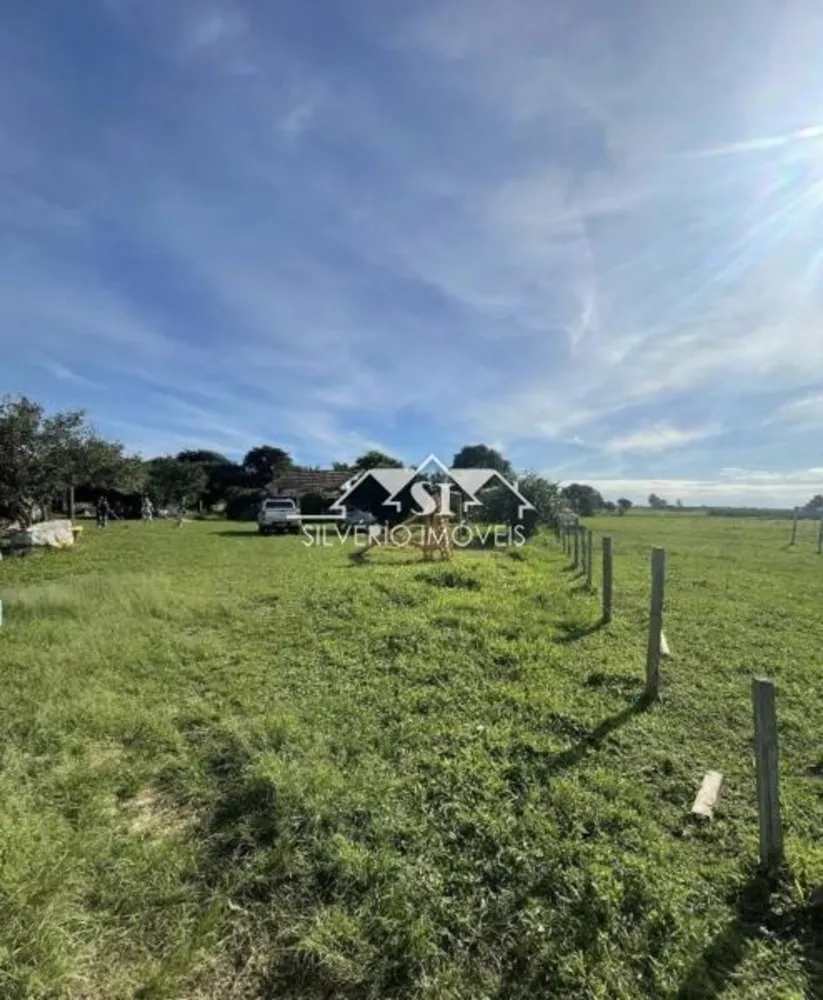 Fazenda, 210 hectares - Foto 3