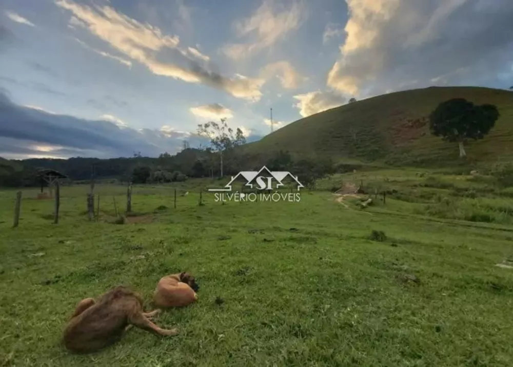 Fazenda, 307 hectares - Foto 4