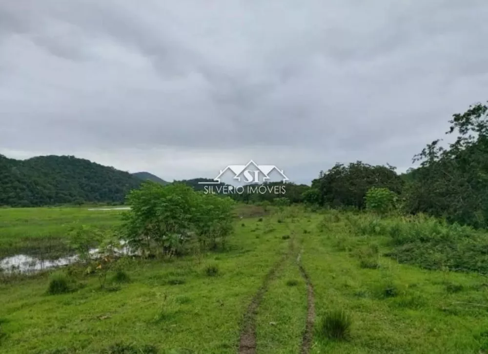 Fazenda, 307 hectares - Foto 7