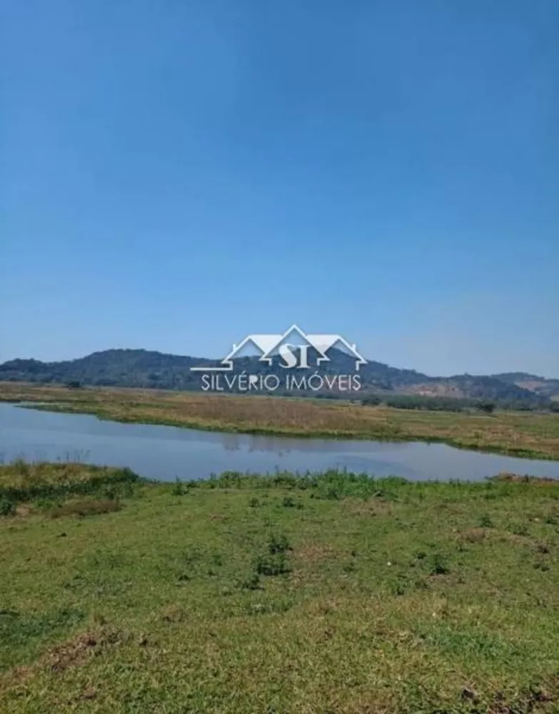 Fazenda, 307 hectares - Foto 9