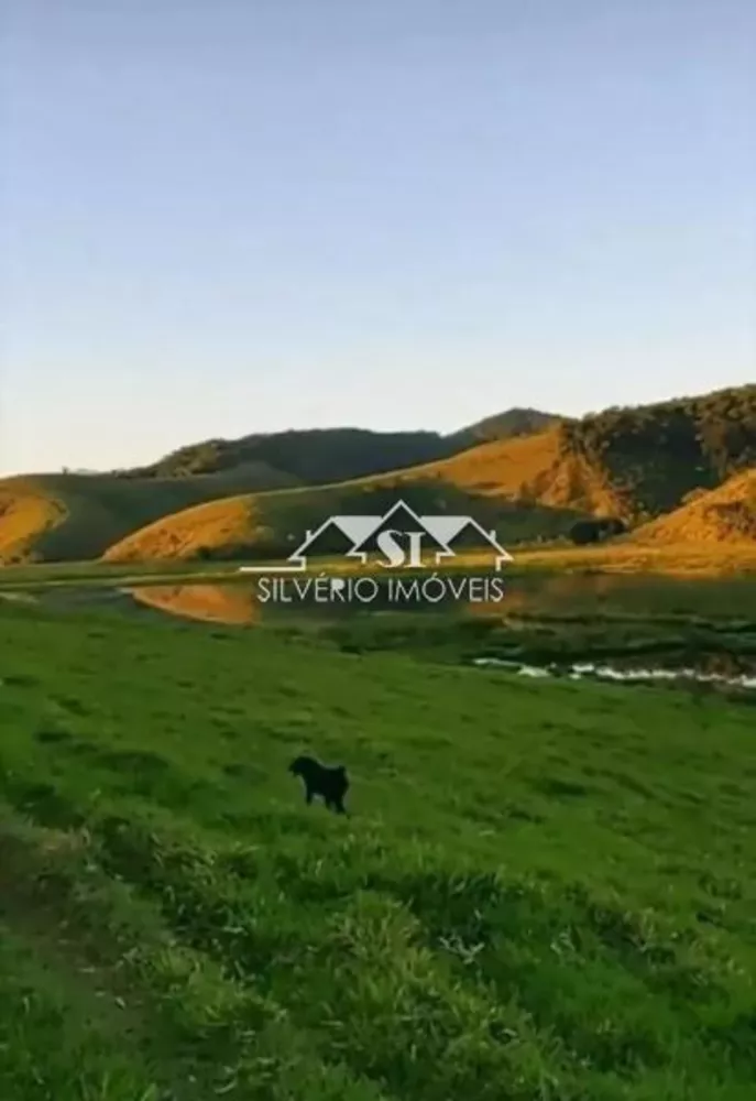 Fazenda, 307 hectares - Foto 2