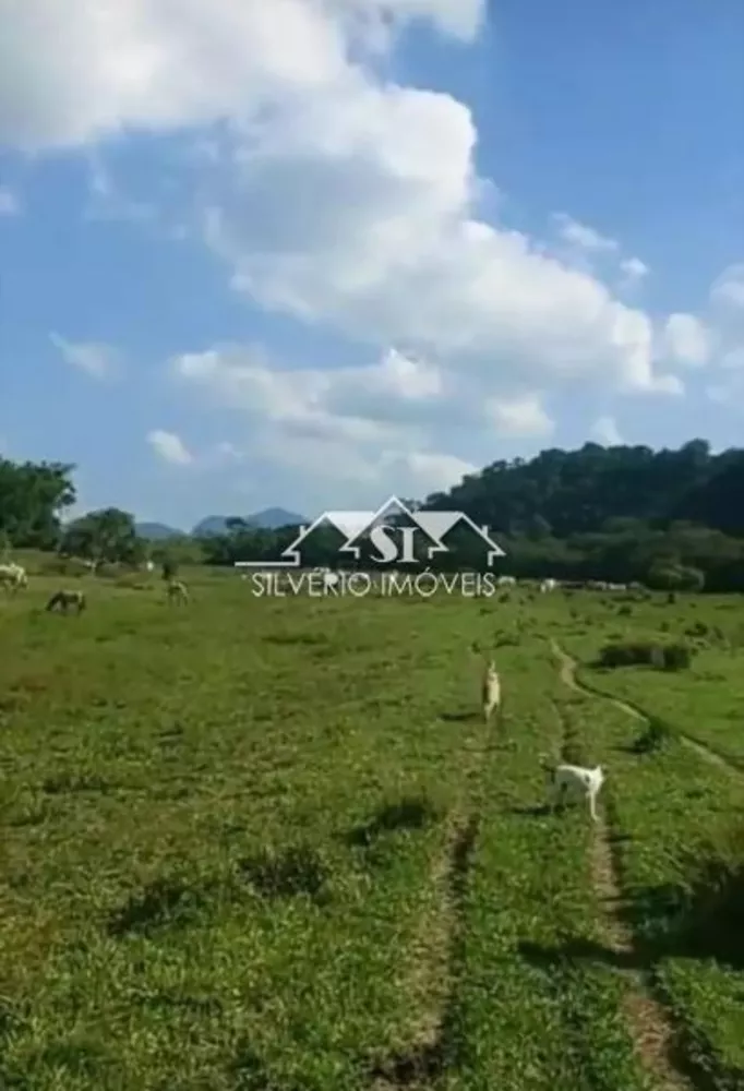 Fazenda, 307 hectares - Foto 11