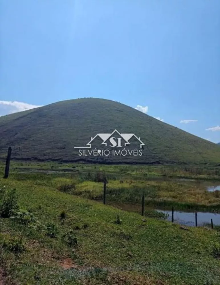 Fazenda, 307 hectares - Foto 8