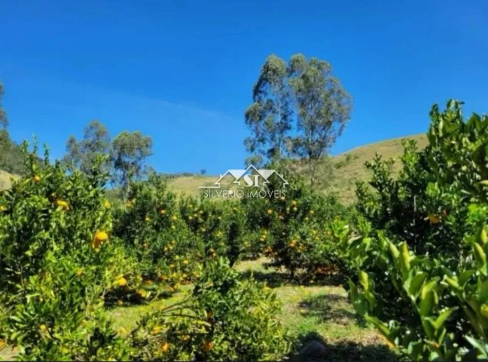 Fazenda, 67 hectares - Foto 4