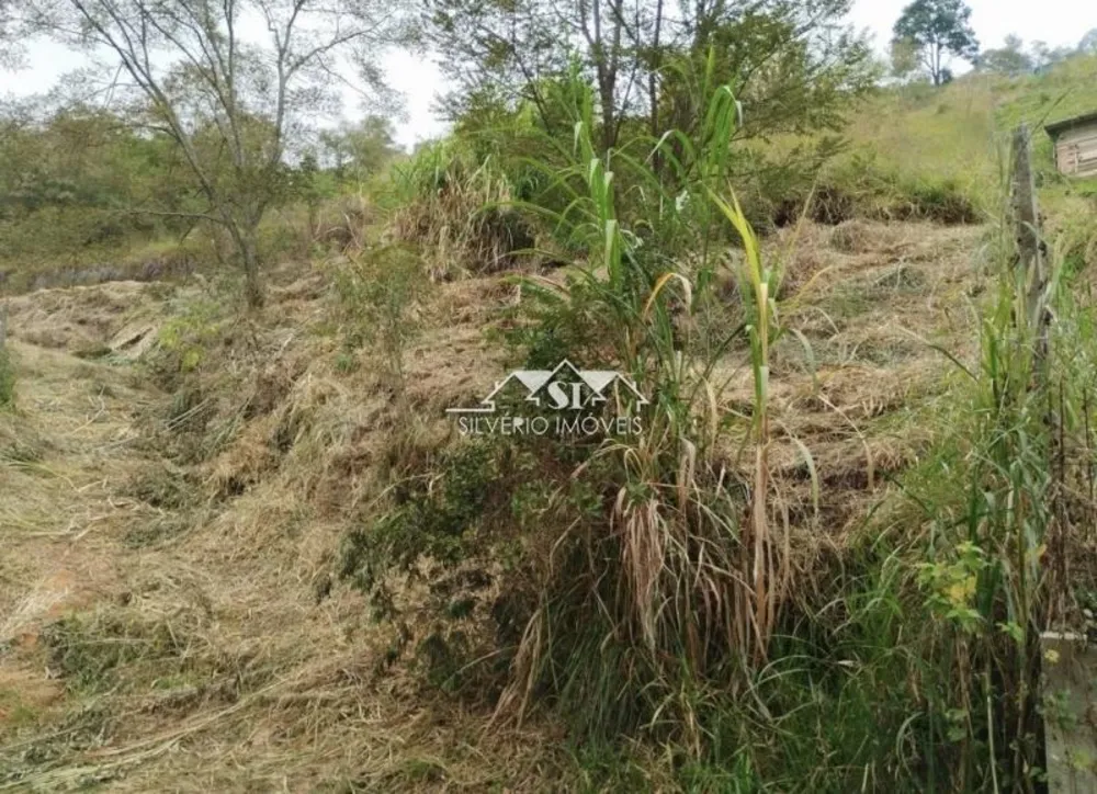 Terreno, 4000 m² - Foto 2