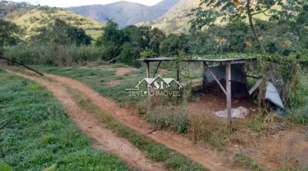 Terreno, 3 hectares - Foto 7