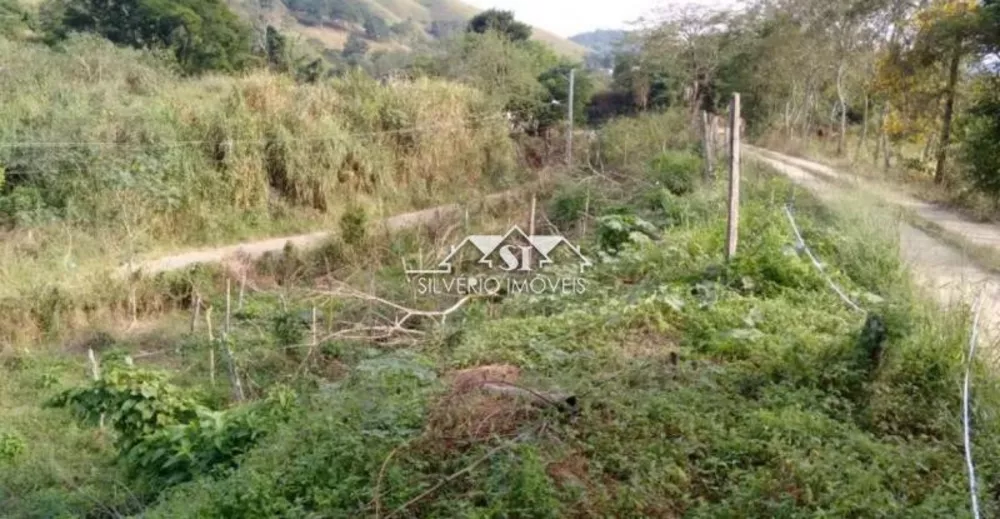 Terreno, 3 hectares - Foto 4