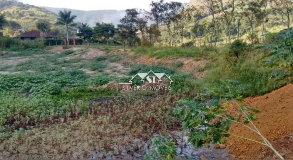Terreno, 3 hectares - Foto 9