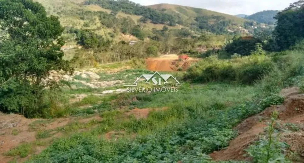 Terreno, 3 hectares - Foto 3