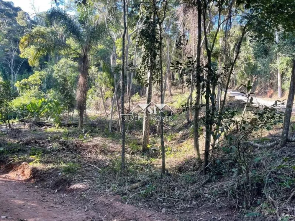 Terreno, 1300 m² - Foto 3