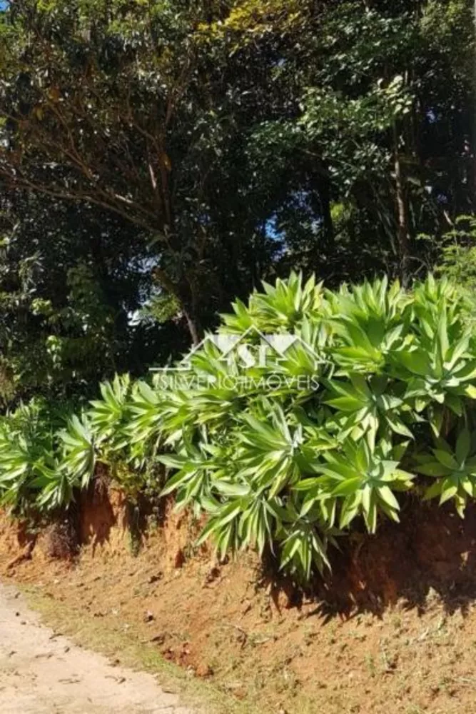 Terreno, 579 m² - Foto 2