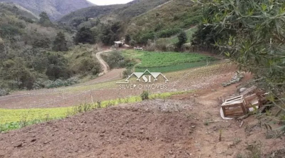 Terreno, 13 hectares - Foto 6