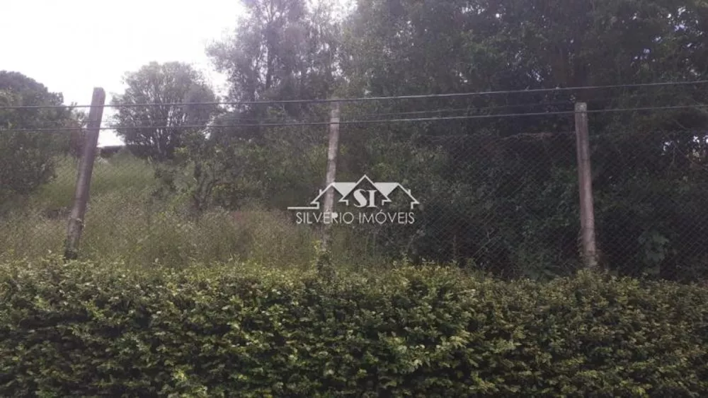 Terreno, 1000 m² - Foto 3