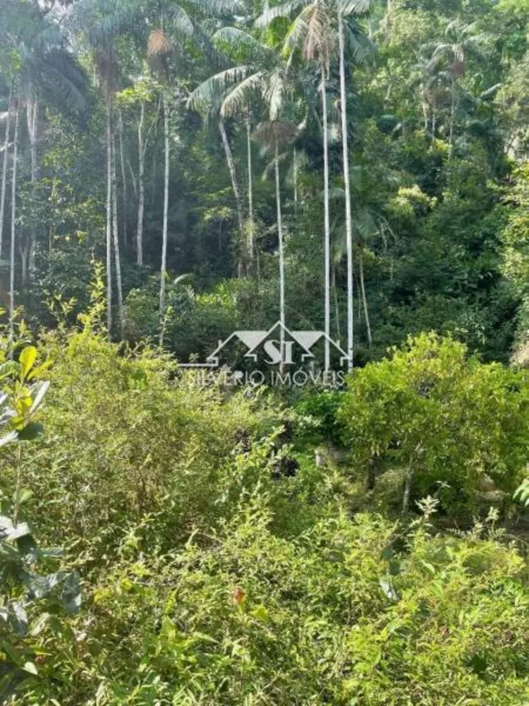 Sítio, 3 quartos, 14 hectares - Foto 18