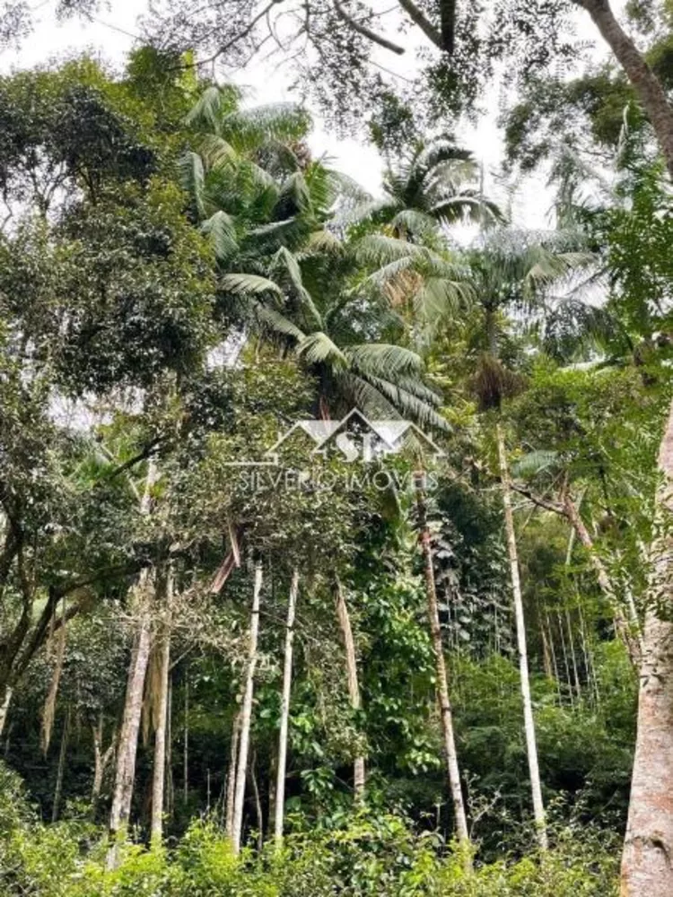 Sítio, 3 quartos, 14 hectares - Foto 15