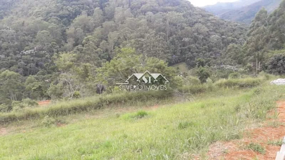 Terreno, 3 hectares - Foto 11