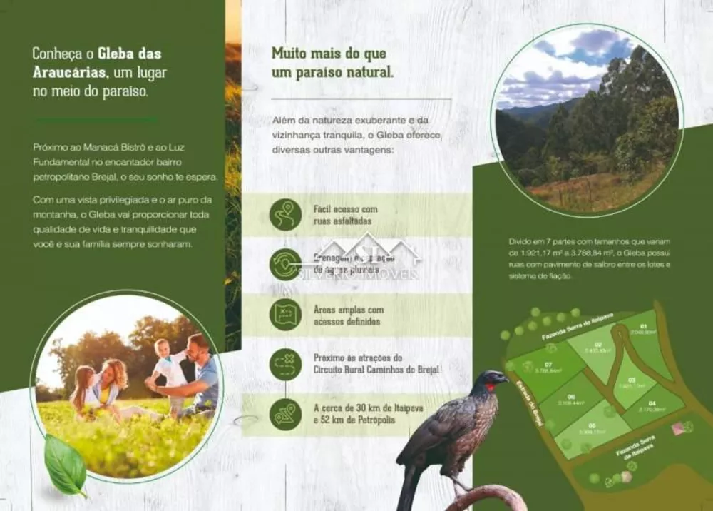 Terreno, 3 hectares - Foto 13