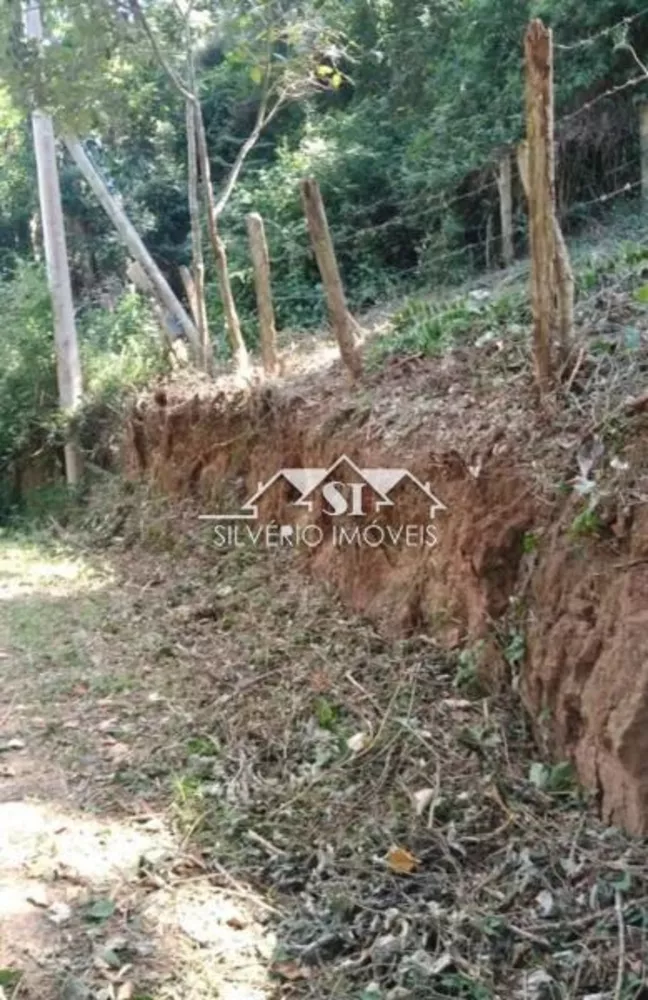 Terreno, 3000 m² - Foto 4