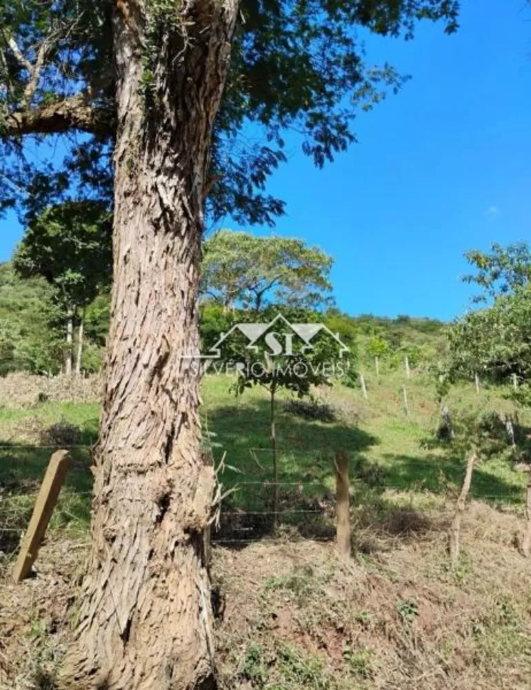 Terreno, 3000 m² - Foto 2