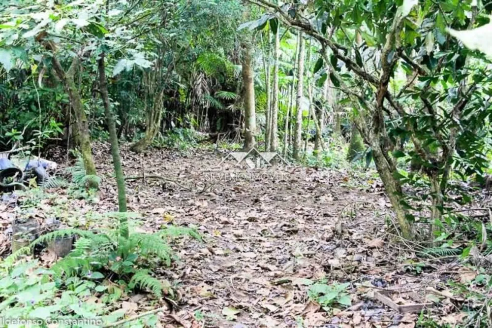 Terreno, 8 hectares - Foto 3