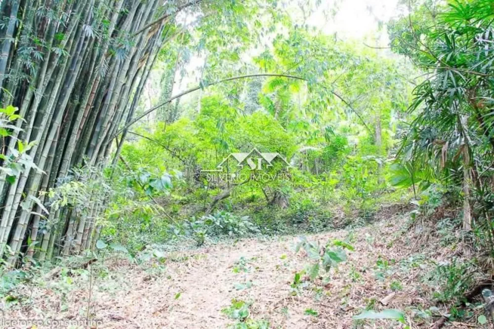 Terreno, 8 hectares - Foto 4