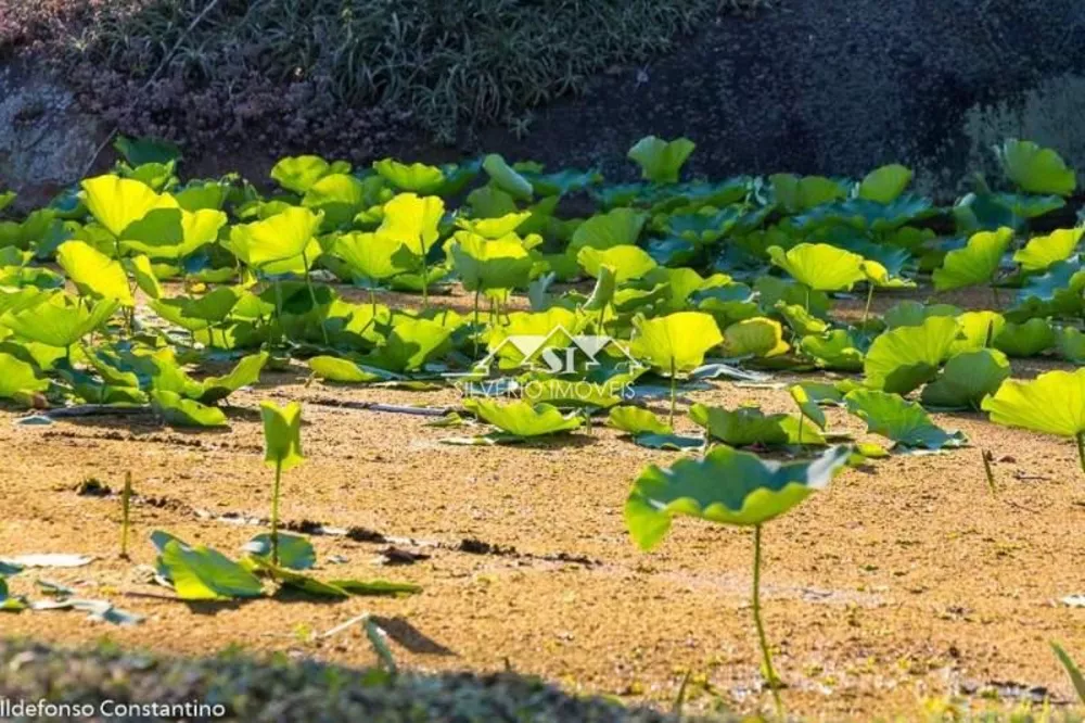 Terreno, 8 hectares - Foto 1