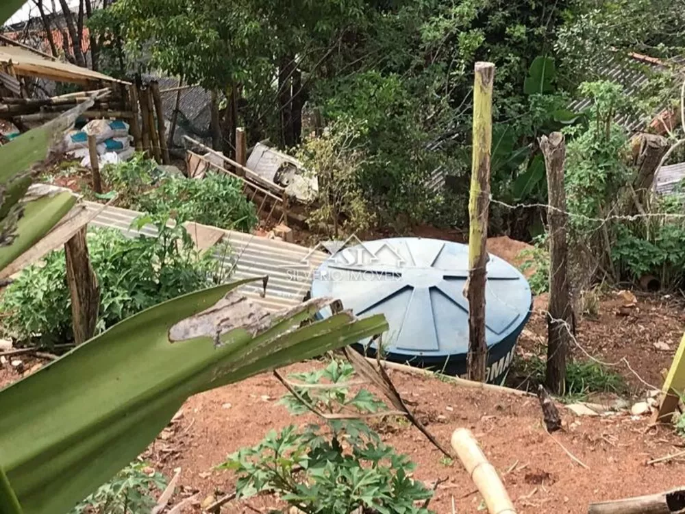 Terreno, 7 hectares - Foto 18