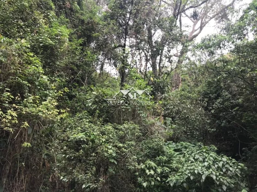 Terreno, 7 hectares - Foto 6