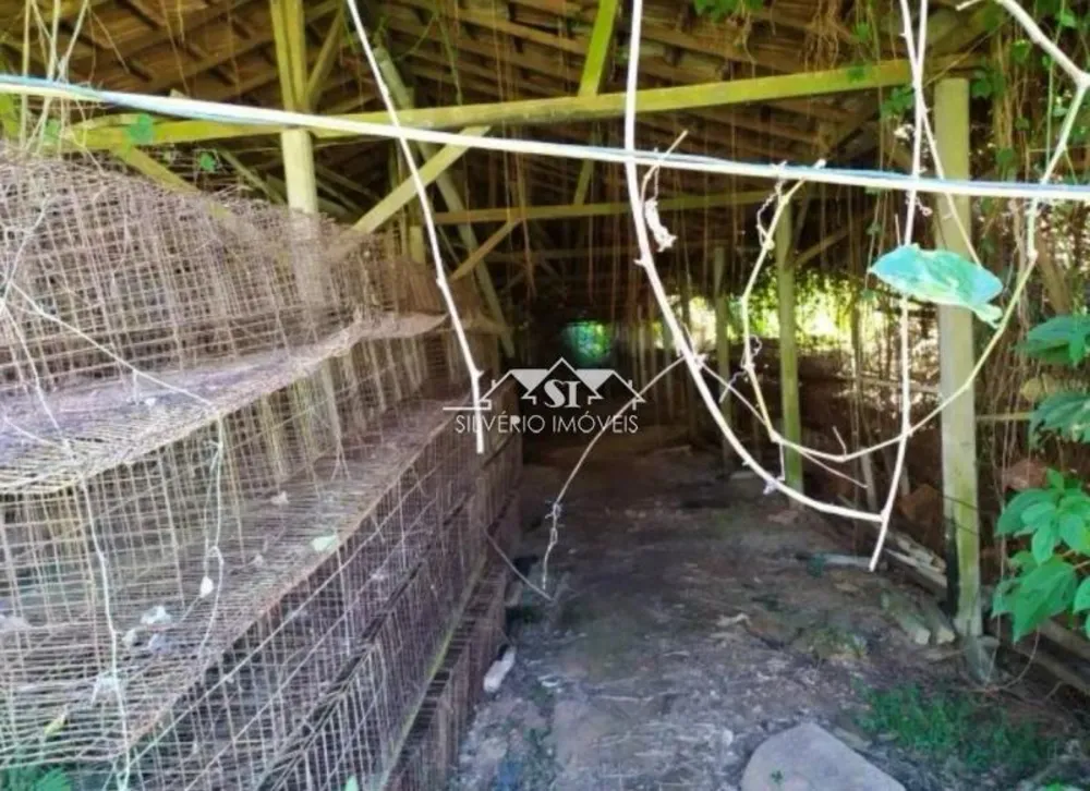 Fazenda, 2 hectares - Foto 6