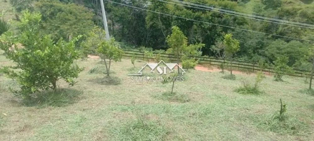 Chácara, 3 quartos, 9000 m² - Foto 5