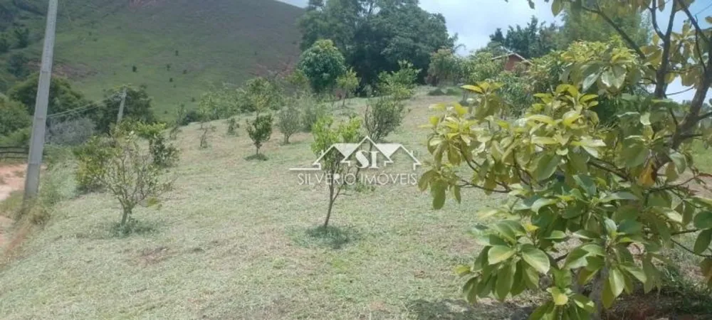 Chácara, 3 quartos, 9000 m² - Foto 4