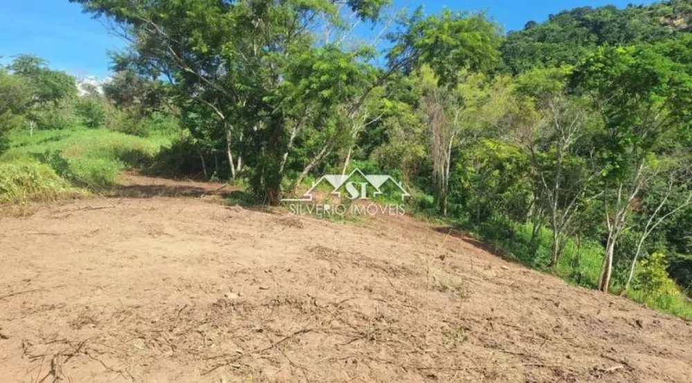 Sítio, 3 quartos, 4 hectares - Foto 11