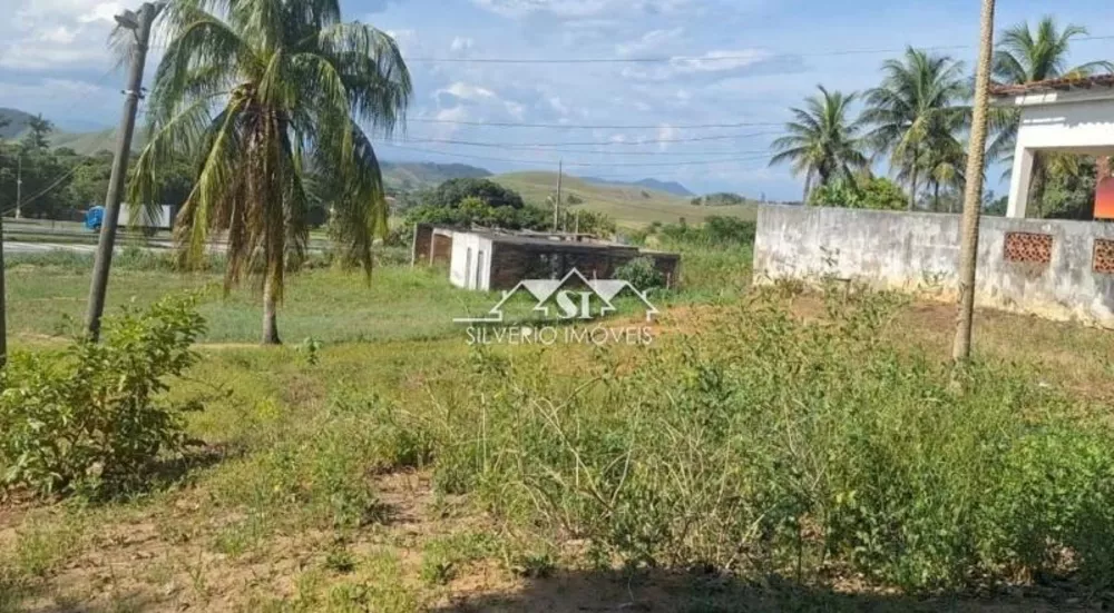 Sítio, 3 quartos, 4 hectares - Foto 2