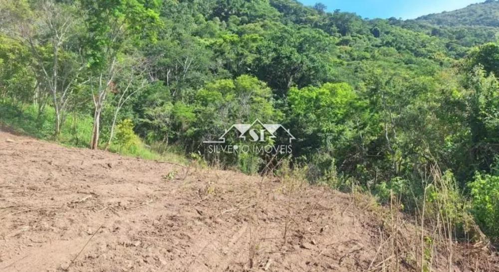 Sítio, 3 quartos, 4 hectares - Foto 10