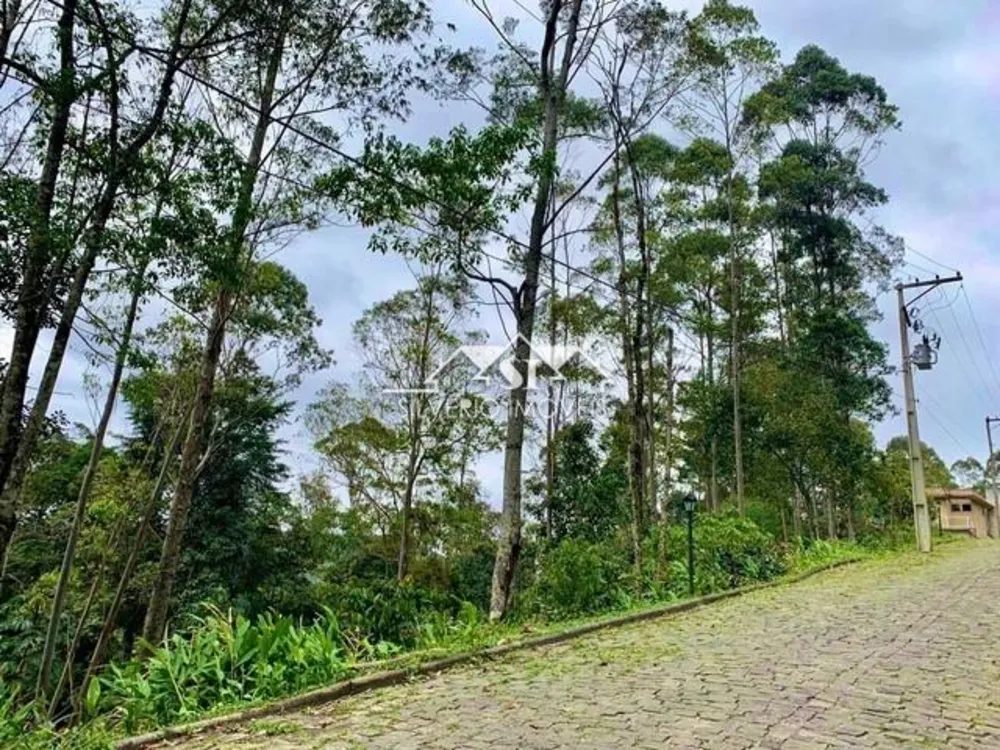 Terreno, 2102 m² - Foto 4