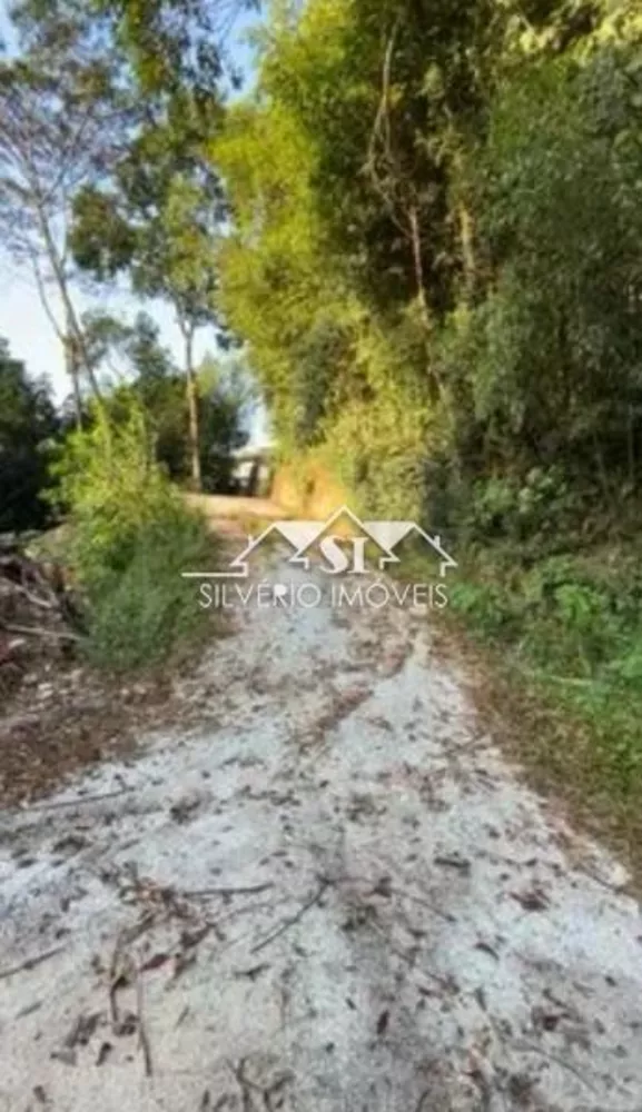 Terreno, 3000 m² - Foto 6