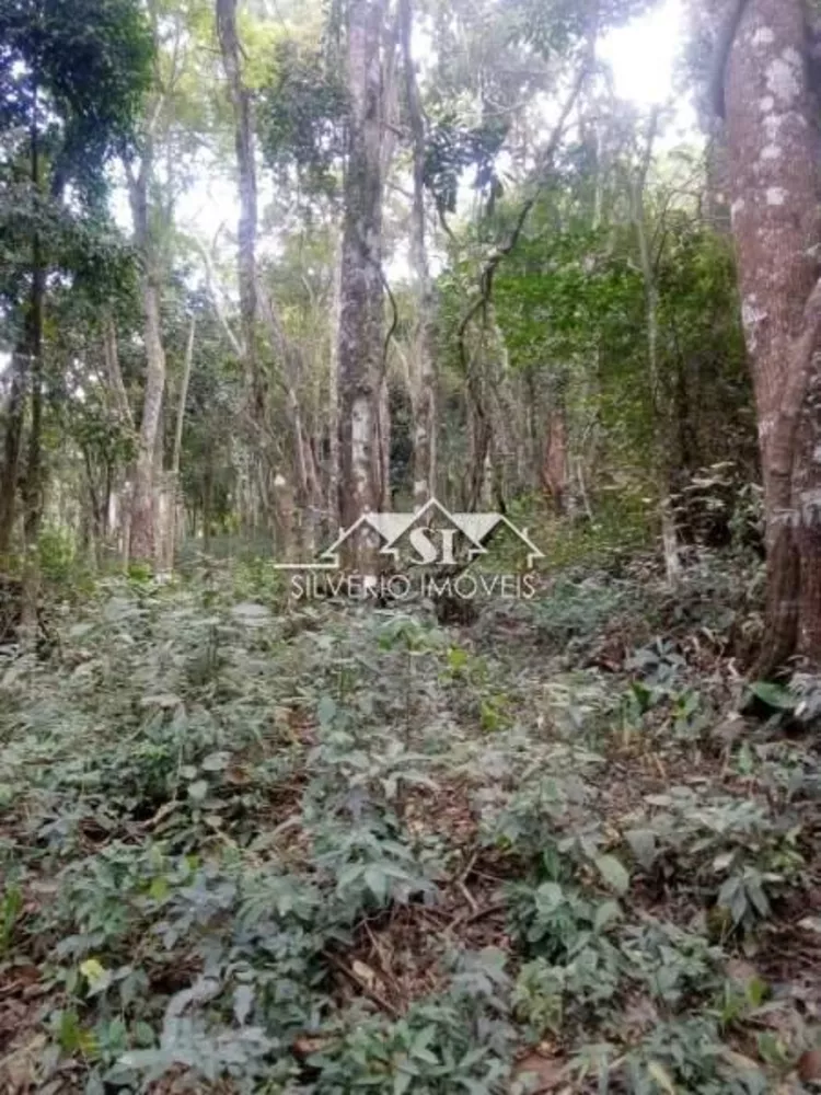 Terreno, 2045 m² - Foto 4