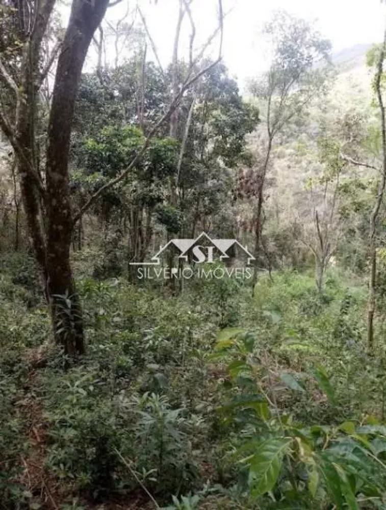 Terreno, 2045 m² - Foto 5