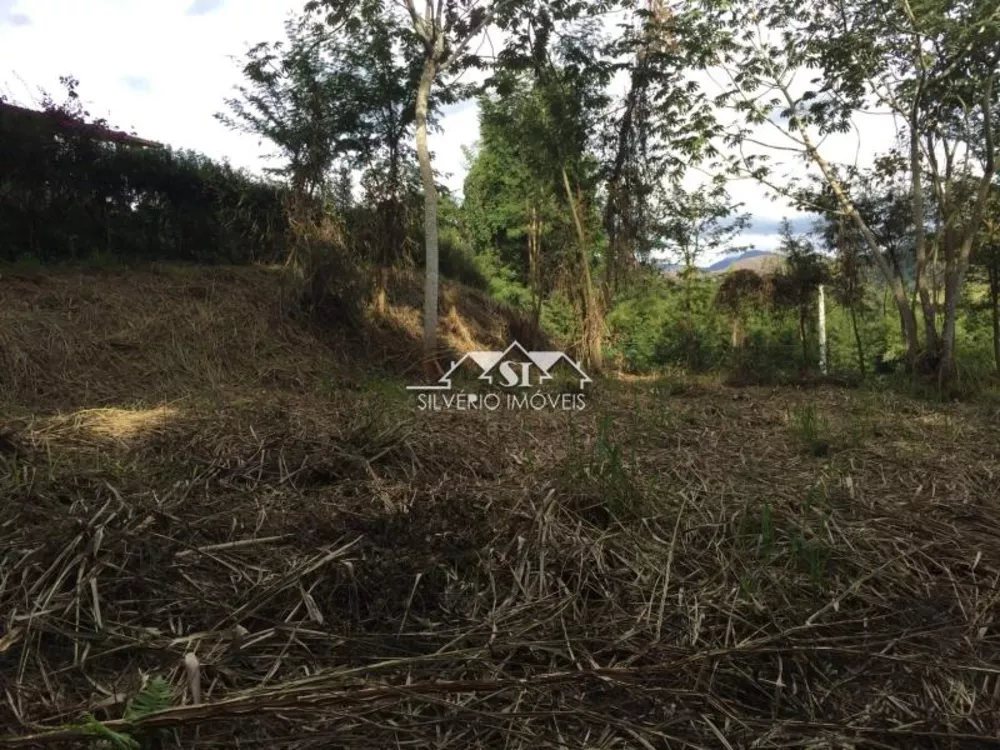 Terreno, 2060 m² - Foto 3