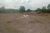 Terreno, 2 hectares - Foto 4