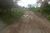Terreno, 2 hectares - Foto 5