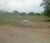 Terreno, 2 hectares - Foto 2