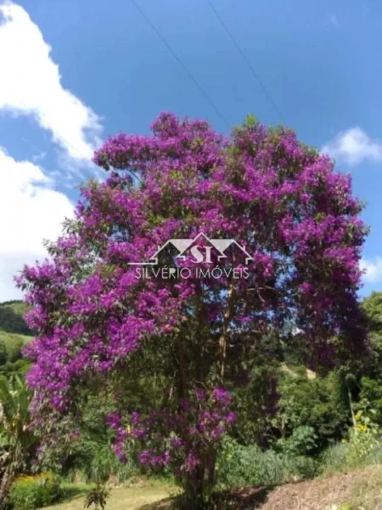 Terreno, 2 hectares - Foto 10