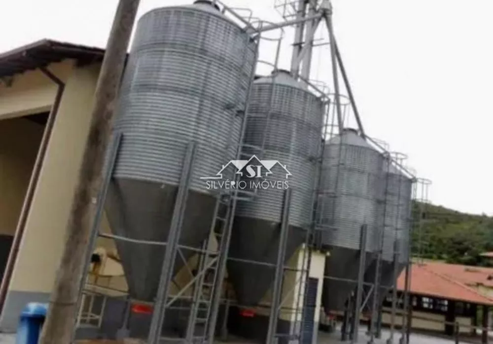 Fazenda, 100 hectares - Foto 16