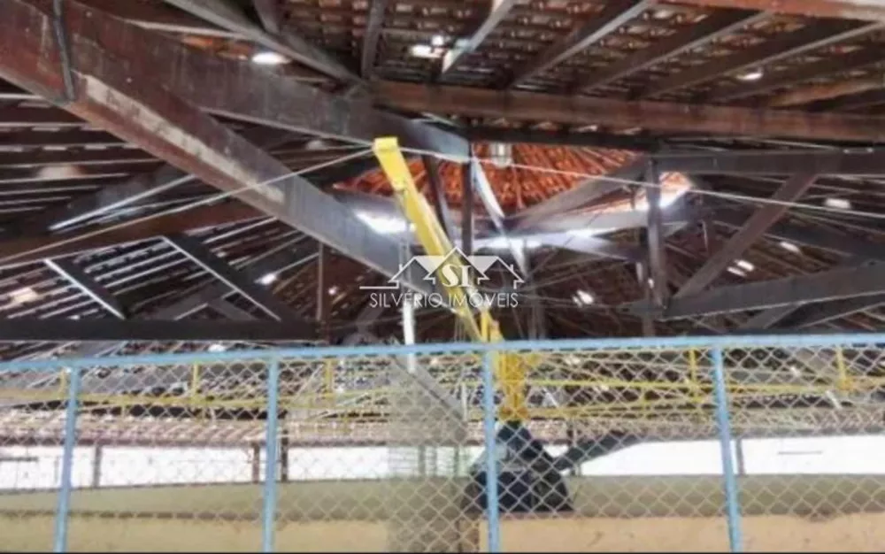 Fazenda, 100 hectares - Foto 17