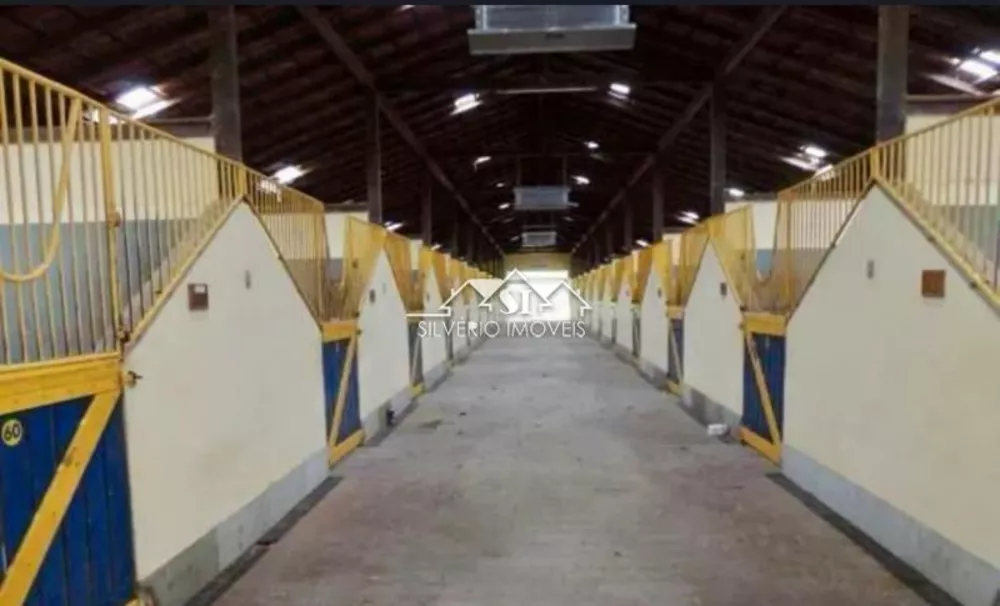 Fazenda, 100 hectares - Foto 10